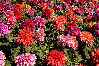 外媒精选今年容易被忽视的16款游戏 《祇:女神之路》在列